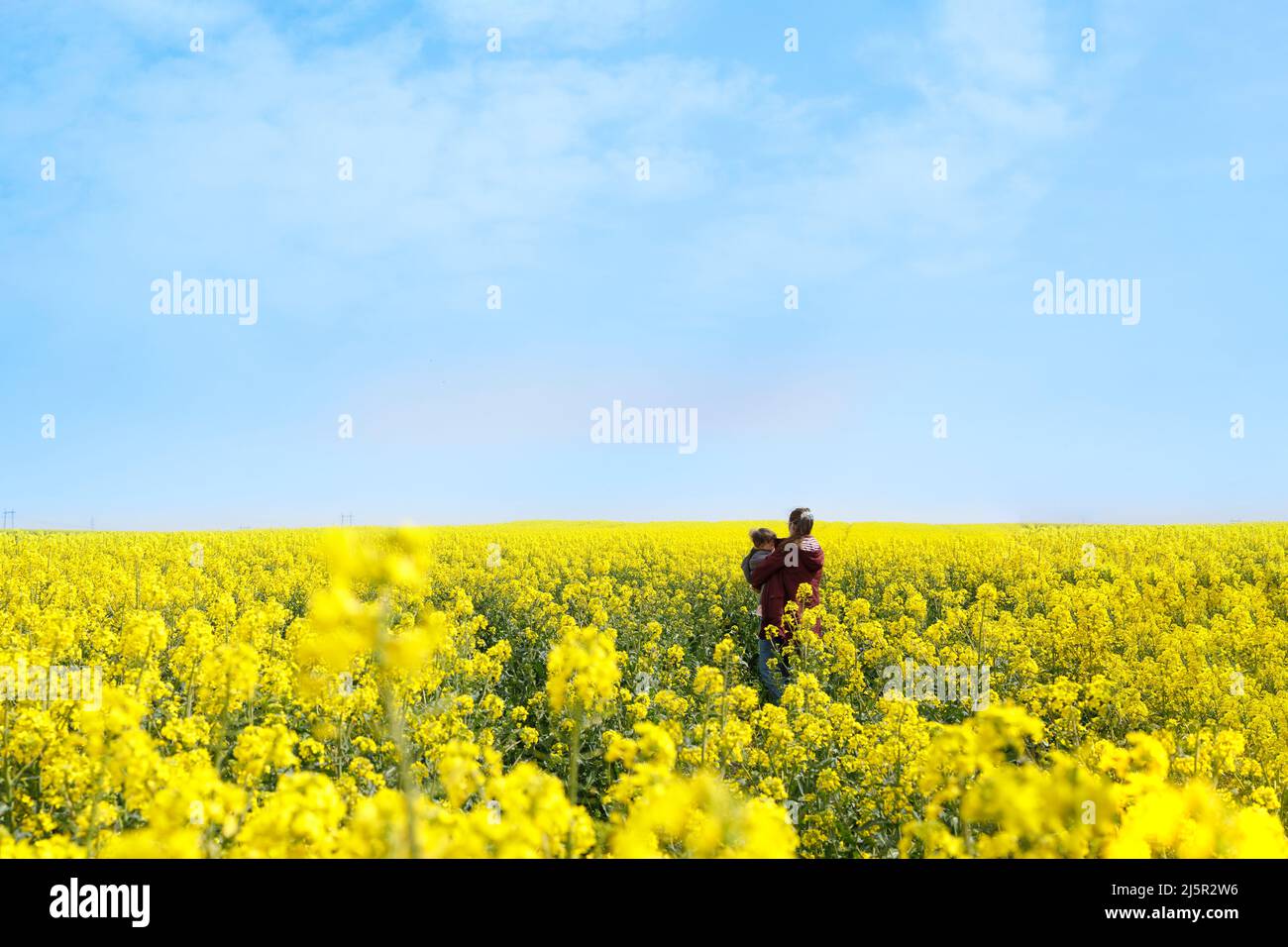 L'enfant et sa mère se trouvent tous deux dans un champ de fleurs jaunes et un ciel bleu. Concept de drapeau ukrainien Banque D'Images