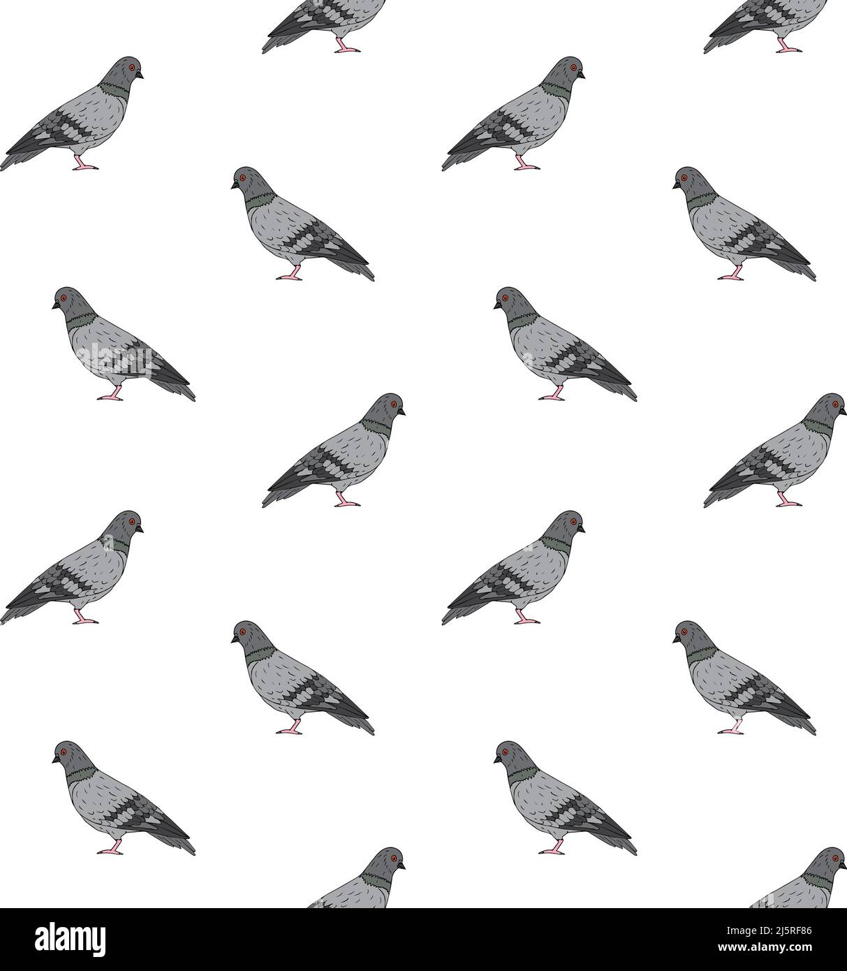 Motif vectoriel sans couture d'un pigeon d'esquisse dessiné à la main isolé sur fond blanc Illustration de Vecteur