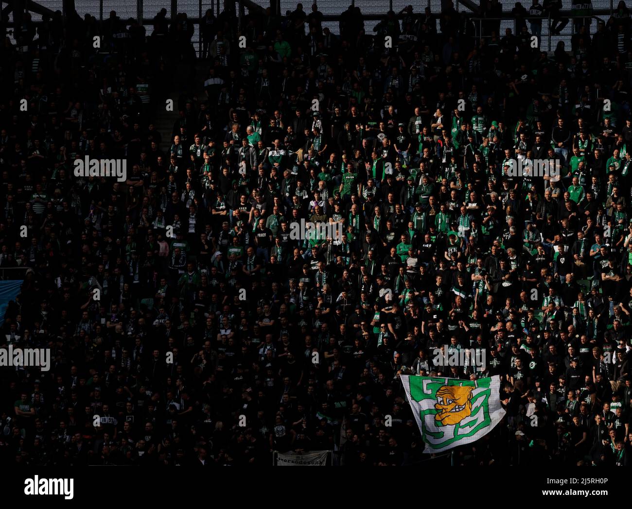 BUDAPEST, HONGRIE - AVRIL 24 : les ultra-supporters de Ferencvarosi TC (connu sous le nom de Green Monsters) attendent le coup d'envoi avant le match de la Ligue de l'OTP Bank hongroise entre Ferencvarosi TC et Ujpest FC à Groupama Arena le 24 avril 2022 à Budapest, Hongrie. Banque D'Images