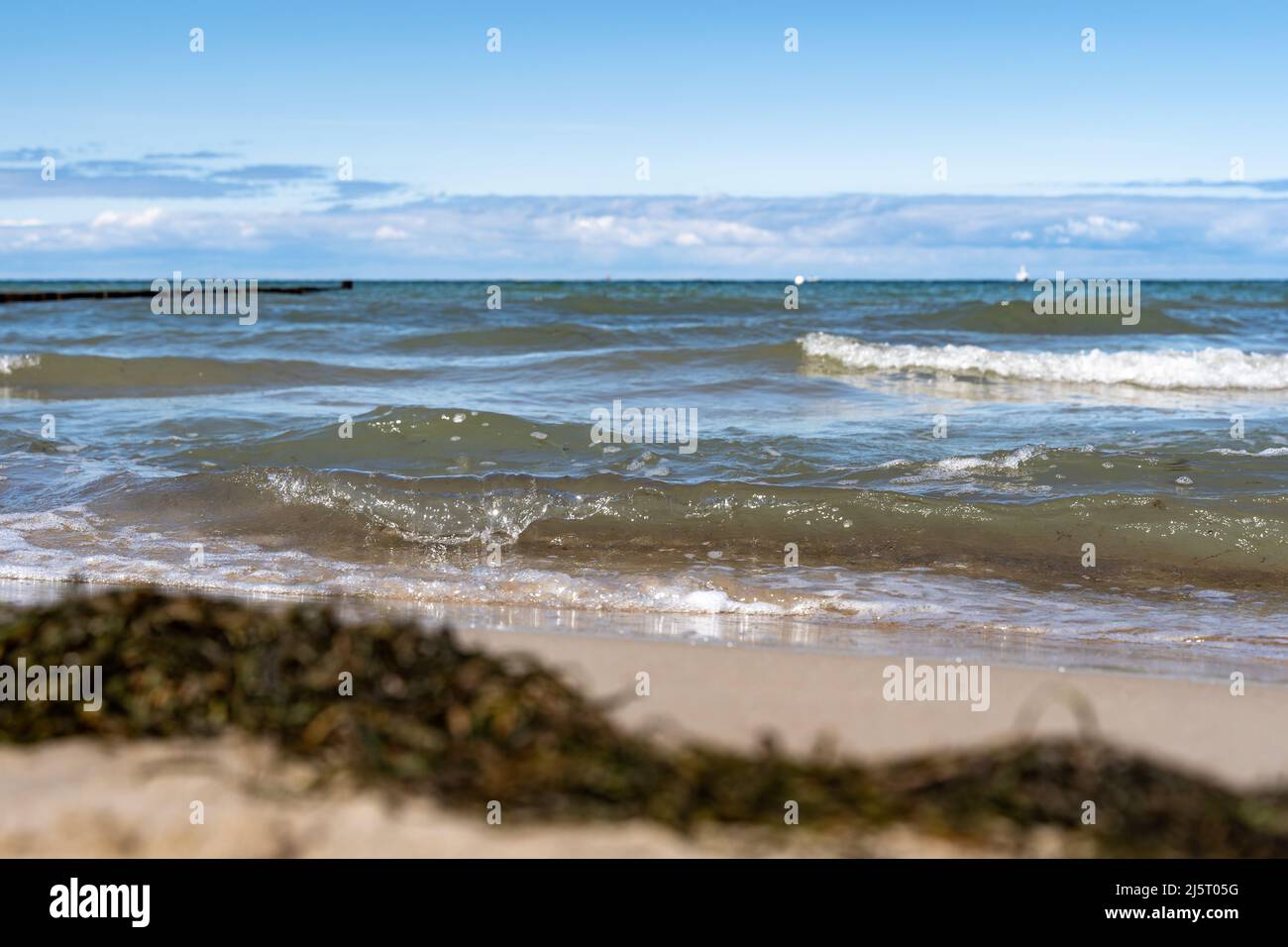 L'eau de la mer Baltique éclabousse sur le sable d'une plage. Petites vagues se brisant sur la côte sablonneuse. Mousse flottant sur l'eau. Idyllique et paisible. Banque D'Images