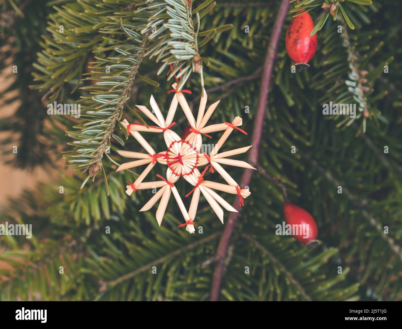 décoration de noël avec étoile en paille; étoile en paille faite à la main suspendue d'une branche de sapin Banque D'Images
