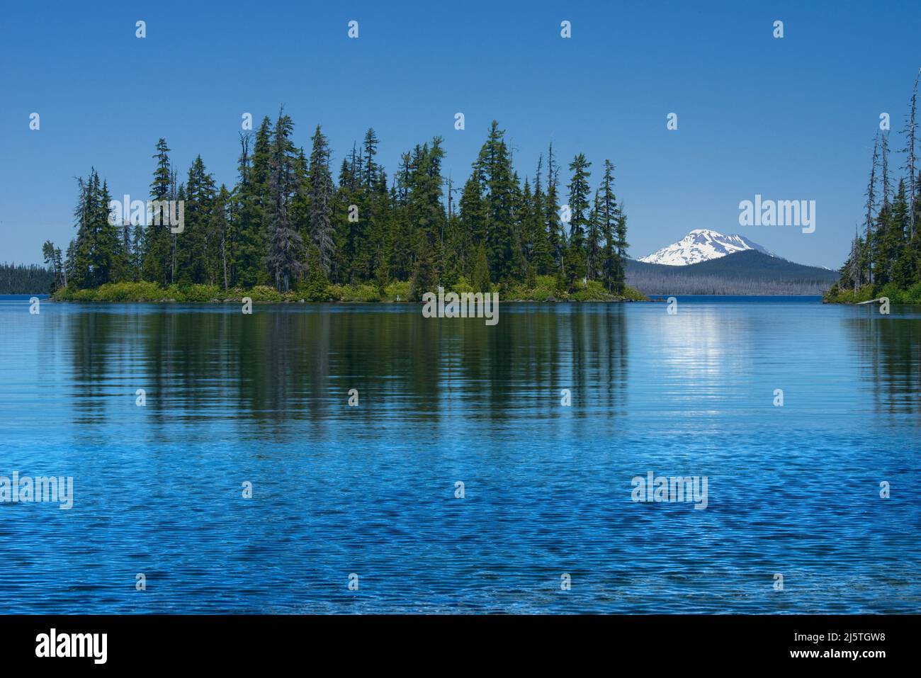 Rhode Dendron Island, Waldo Lake, Cascade Range, Oregon Banque D'Images