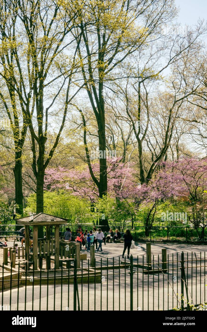 Central Park est un endroit populaire pour les activités de loisirs au printemps, New York City, USA 2022 Banque D'Images