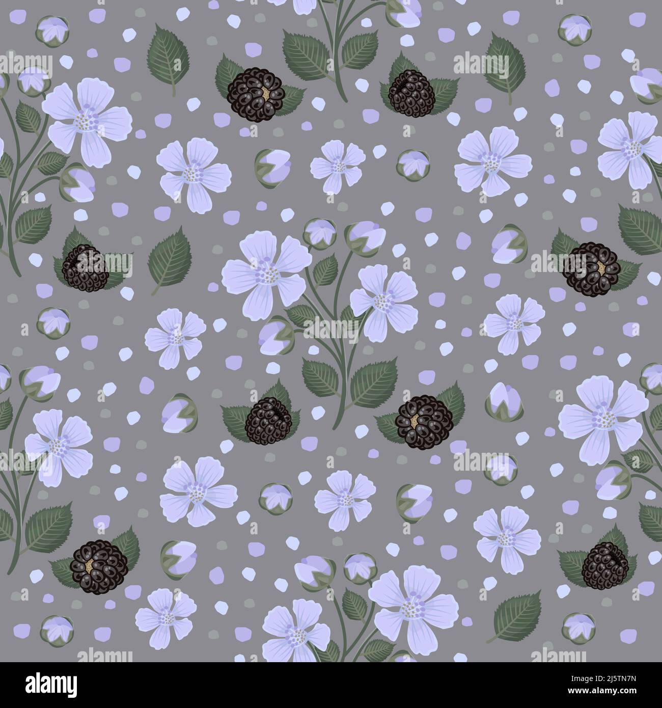 Motif BlackBerry (fleurs et baies), motif coloré sans couture sur fond gris Illustration de Vecteur