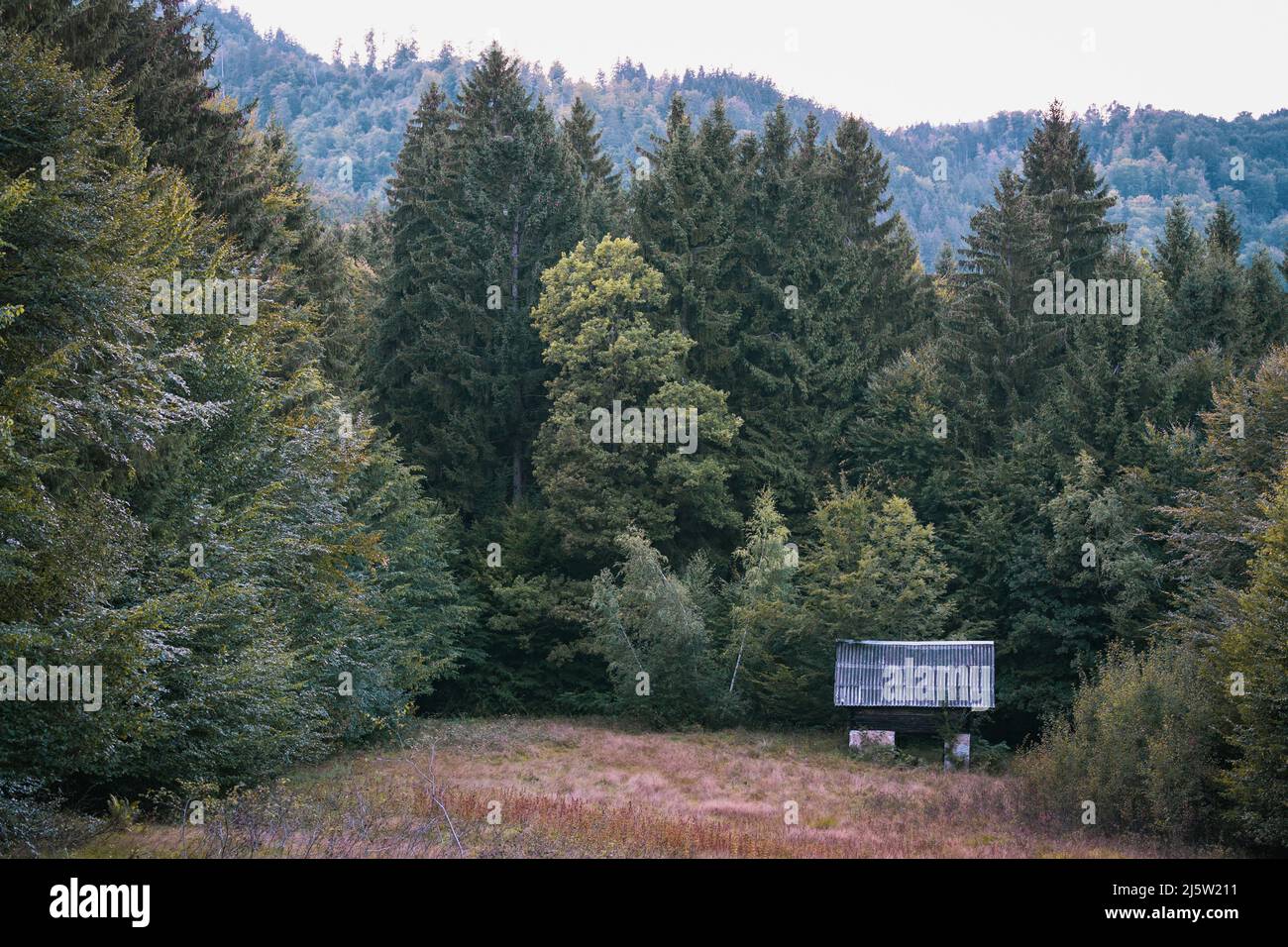 Une petite maison en Slovénie Banque D'Images