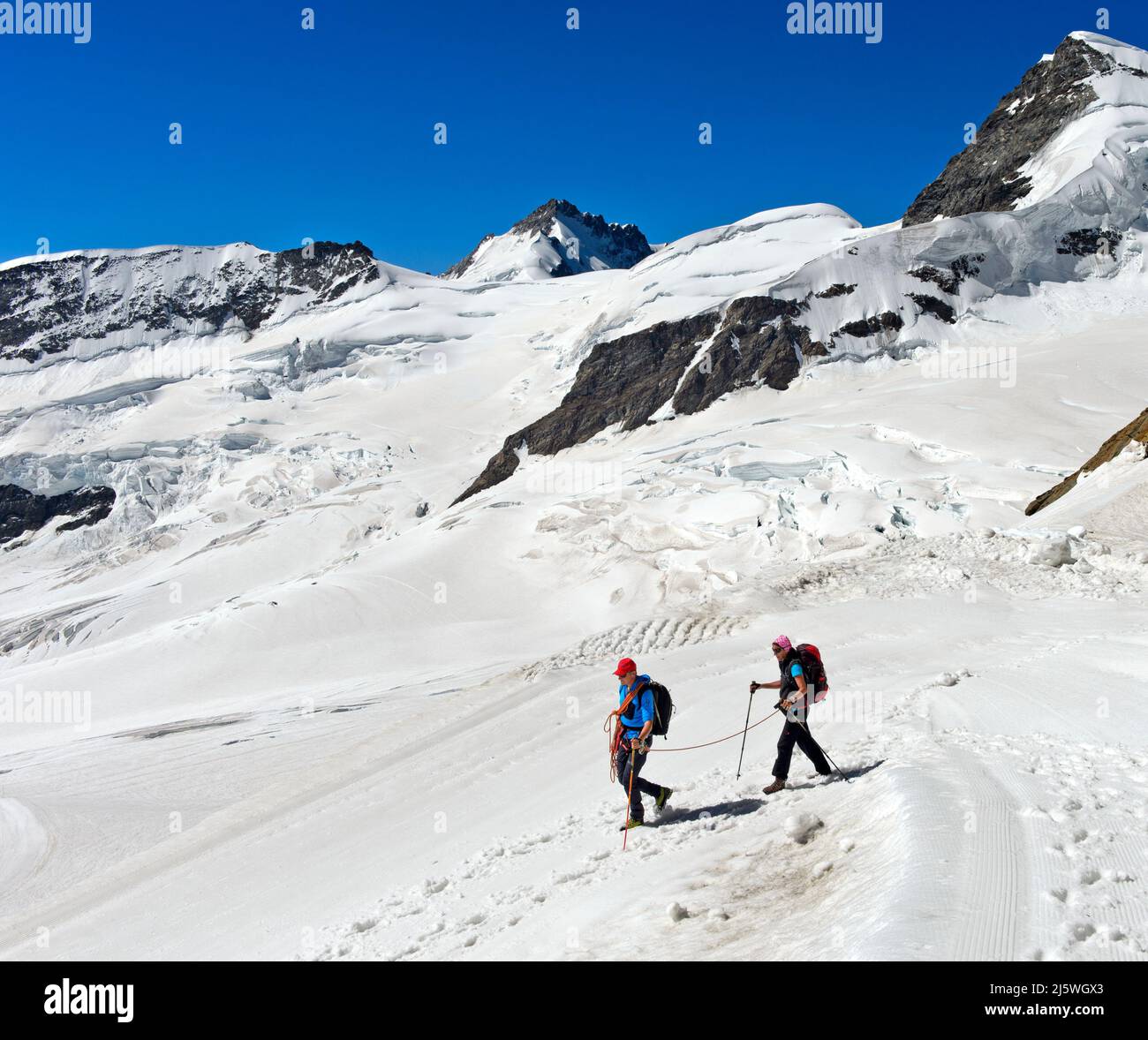 Guide de montagne avec alpiniste sur le Rope Crossing le glacier Jungfraufirn, Jungfraujoch, Grindelwald, Suisse Banque D'Images