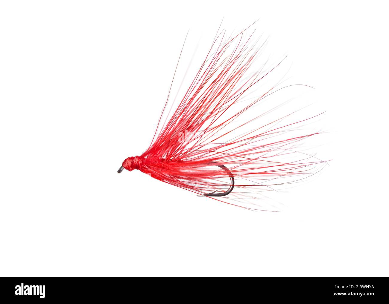 Mouche de pêche isolée sur fond blanc Banque D'Images
