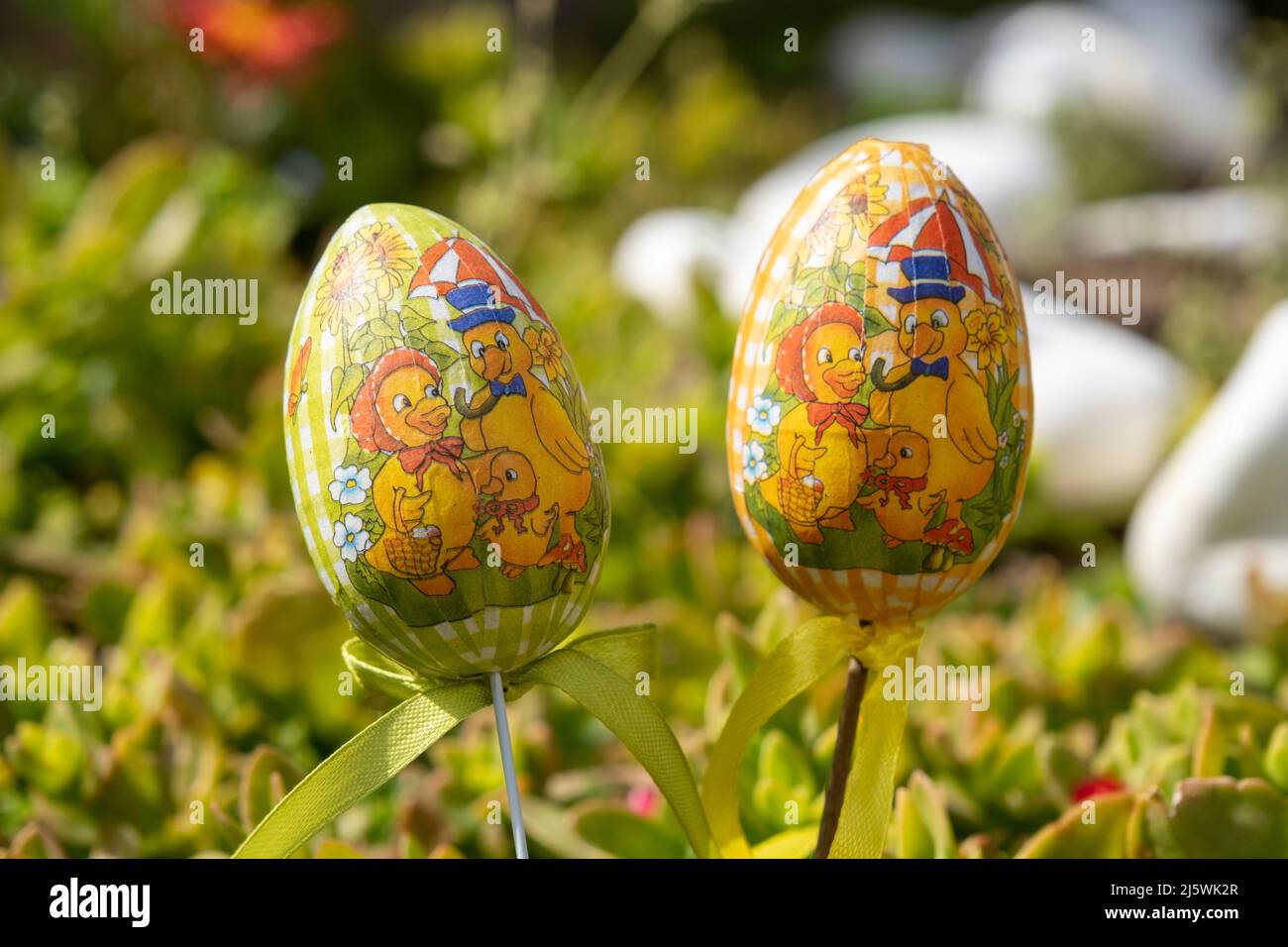 Adorable famille décoré oeufs de Pâques sur fond de prairie verte.Happy Easter Celebration concept décoratif. Bannière festive colorée. Copier l'espace. Banque D'Images