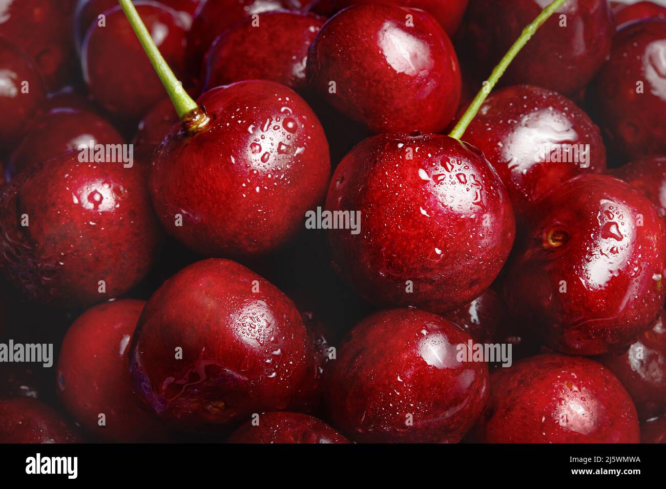 Fond De Cerise. Cerises douces biologiques Banque D'Images
