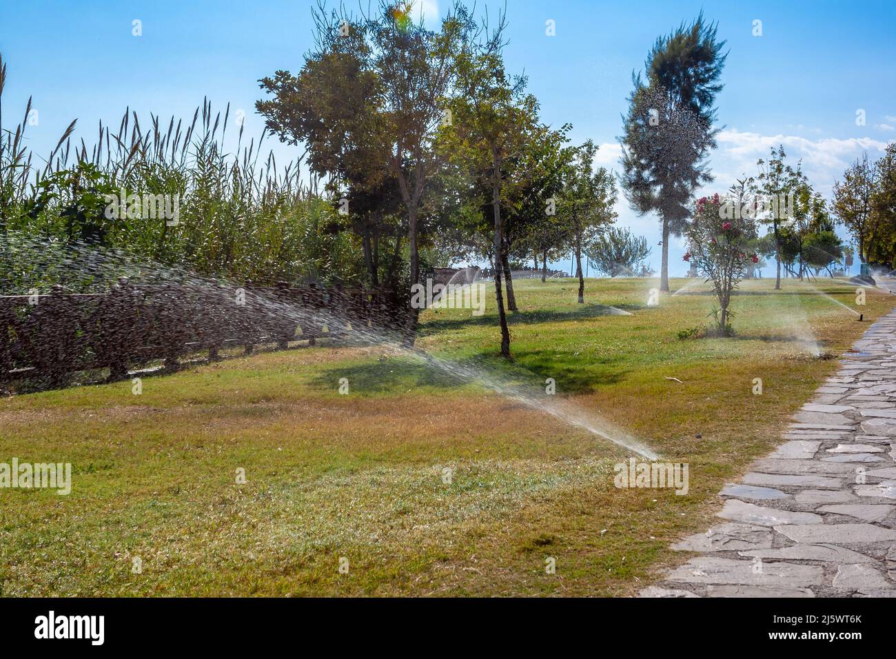 Le système d'irrigation arrose l'eau sur la pelouse verte. Flou de mouvement. Photo horizontale. Banque D'Images