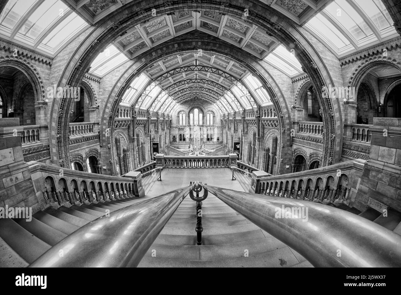 Musée d'Histoire naturelle, Londres, salle principale avec perspective grand angle Banque D'Images