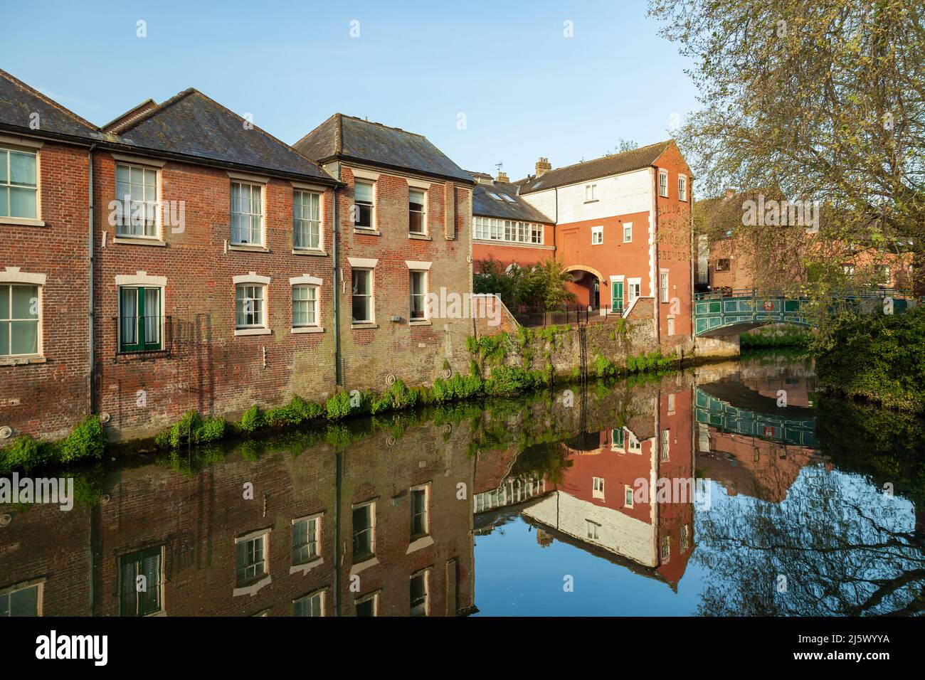 Matin de printemps sur la rivière Wensum à Norwich, Angleterre. Banque D'Images