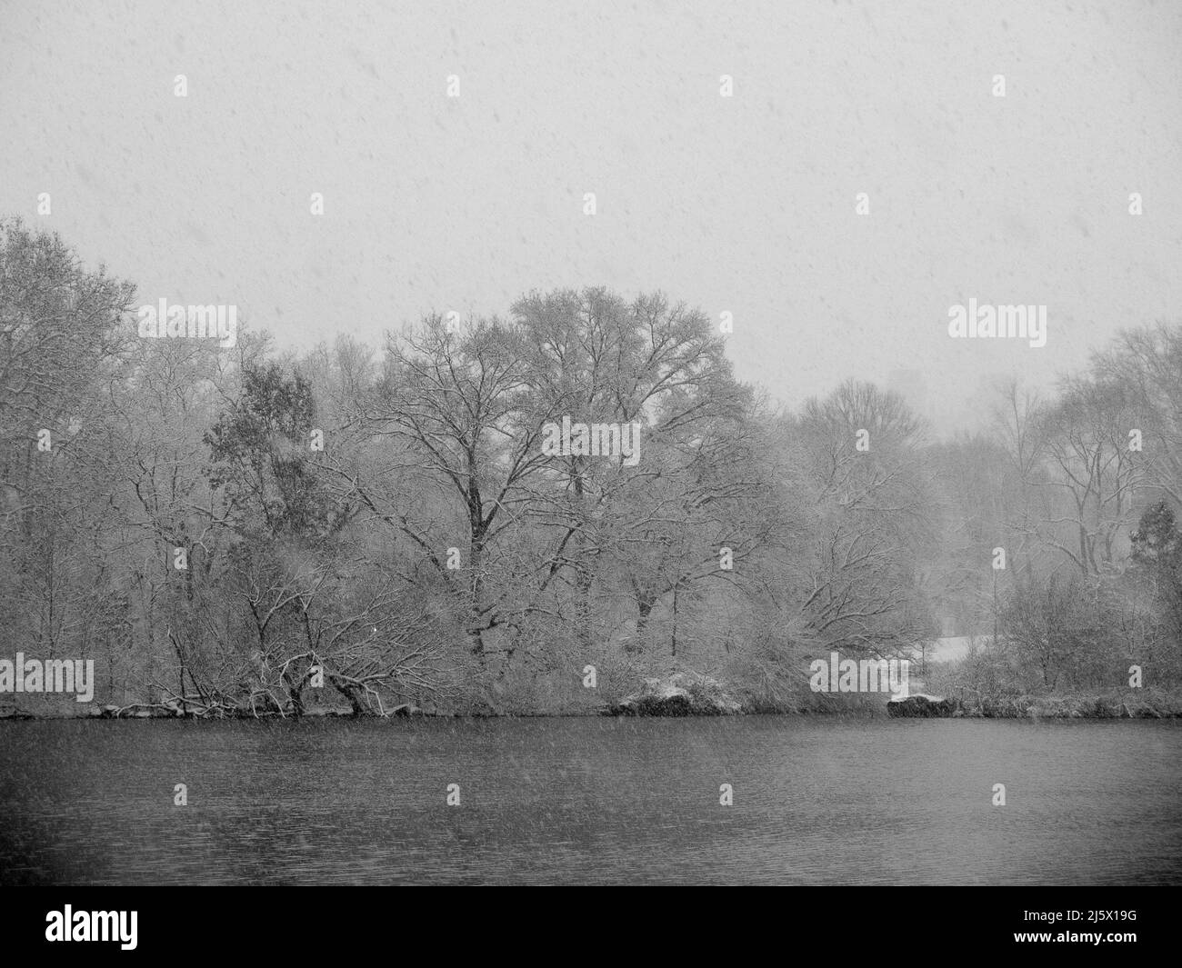 Central Park dans la neige à l'heure de Noël après une tempête d'hiver. Neige de New York en hiver. NYC, ÉTATS-UNIS Banque D'Images