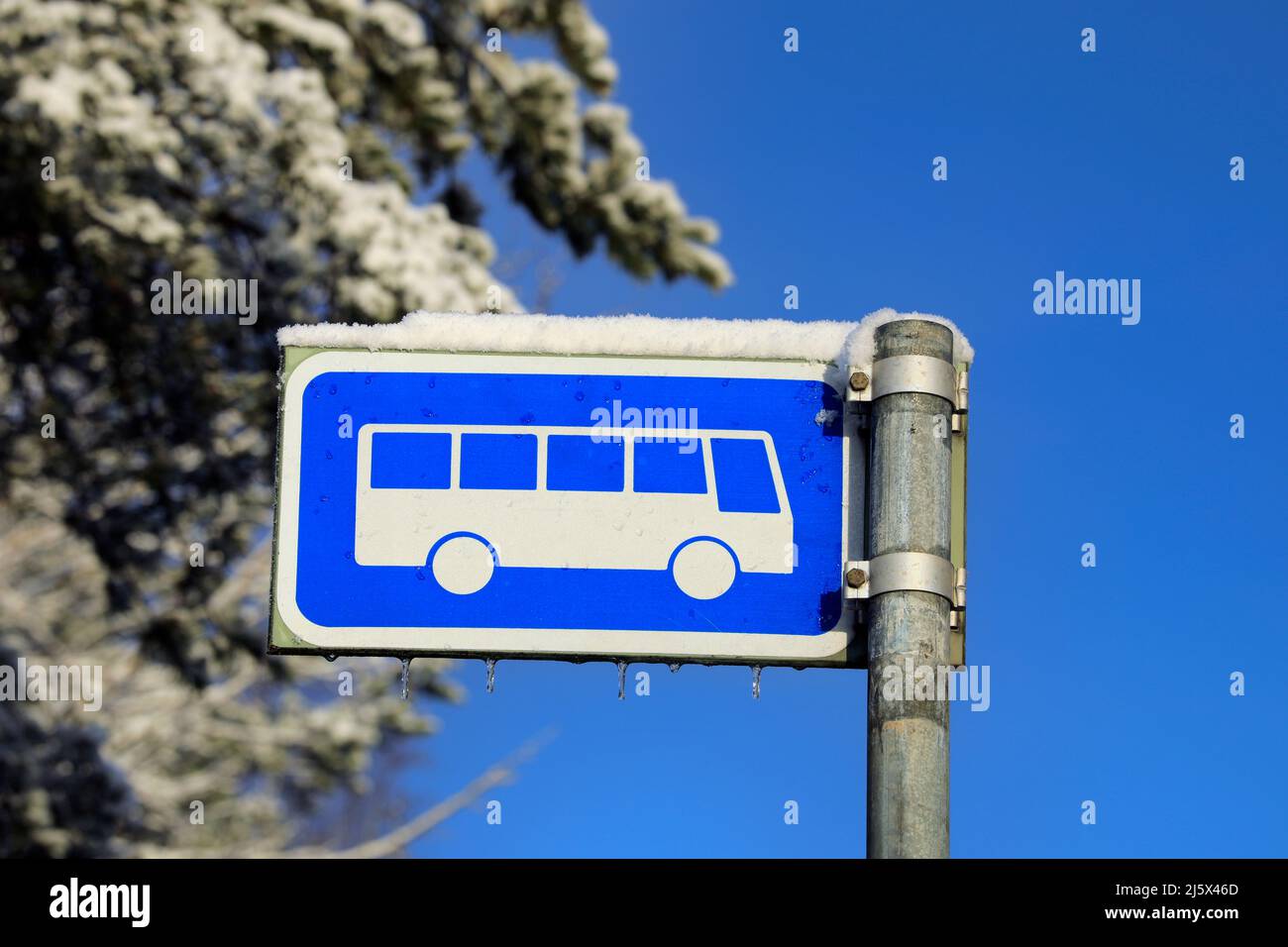 Panneau d'arrêt de bus à proximité le jour ensoleillé de l'hiver avec de la neige, de petites glaces, un arbre enneigé et un ciel bleu. Banque D'Images