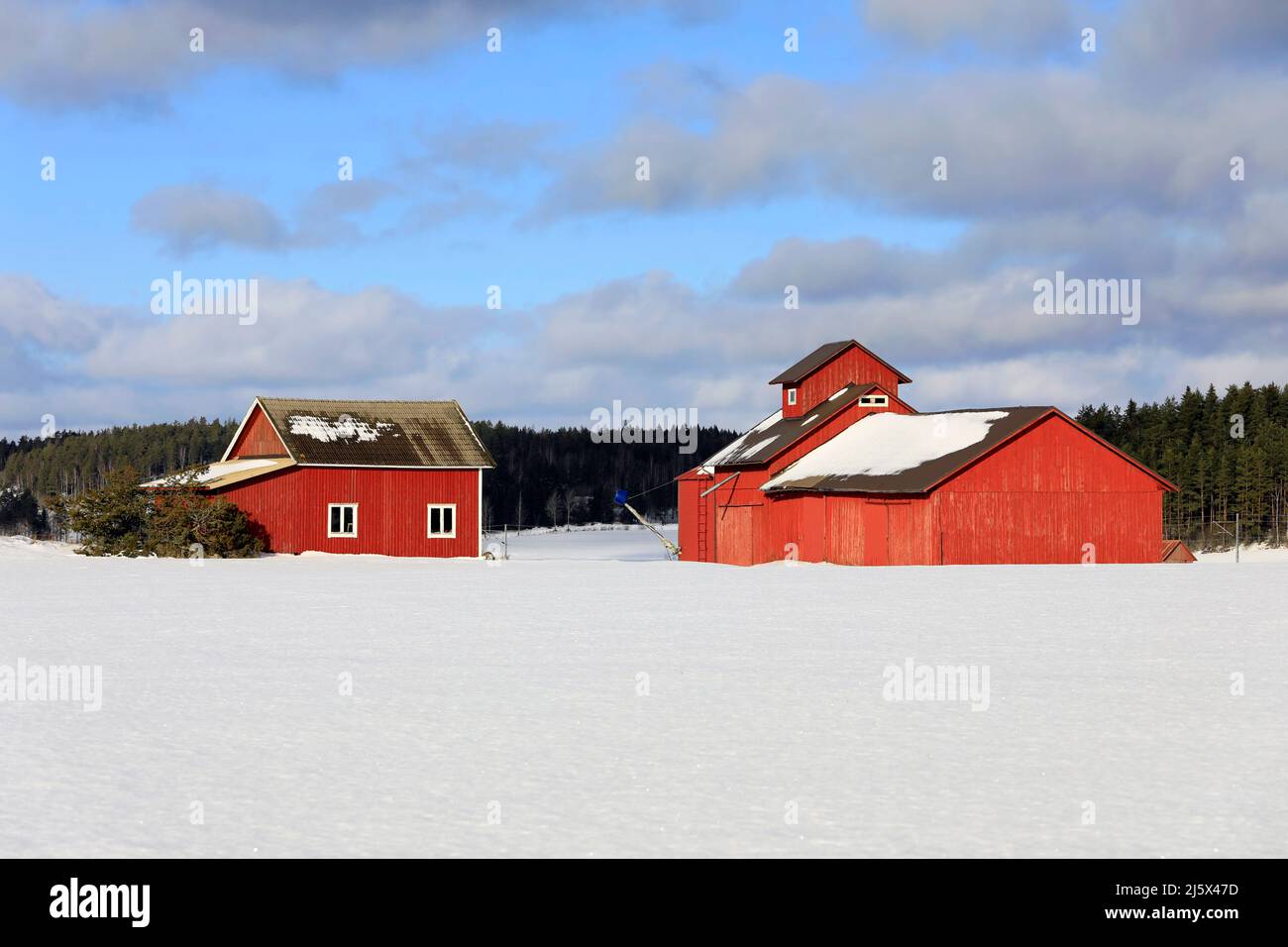 Un vieux bâtiment de ferme rouge et un séchoir à grains en bois dans le champ par une journée claire de février avec un champ couvert de neige et un ciel bleu et des nuages. Banque D'Images