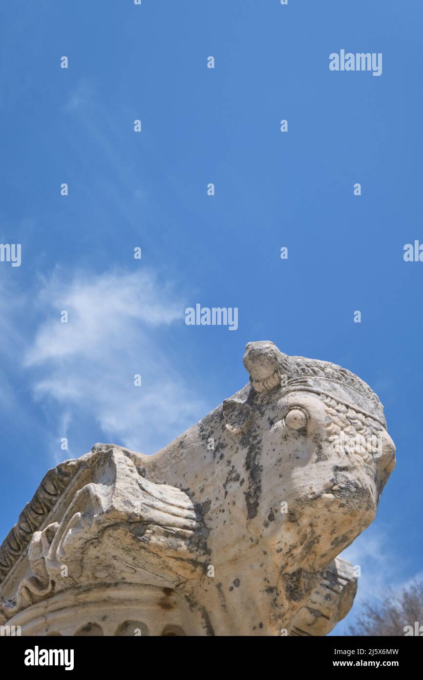 Un exemple de l'un des hauts de colonne de taureau unique, les sculptures en marbre du dessus devant le petit théâtre Odeon. À l'ancienne grecque, romaine archéologique s Banque D'Images