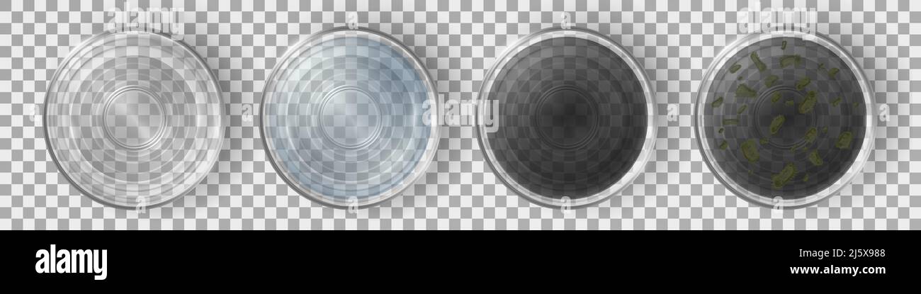 Verres avec eau propre et sale ensemble de vue de dessus. Liquide filtré et contaminé avec des bactéries et des microbes isolés sur fond transparent, pollu Illustration de Vecteur