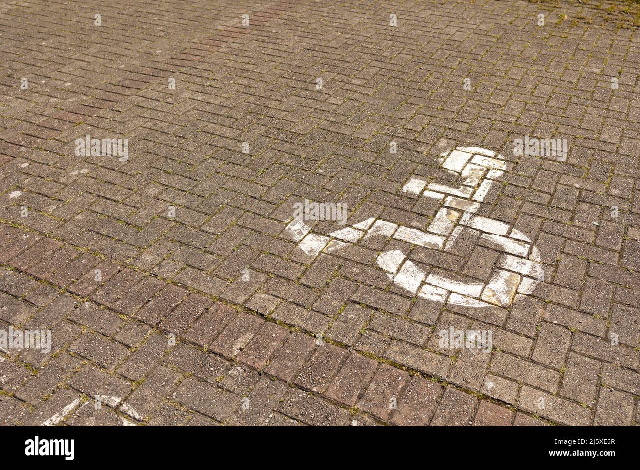 panneau de stationnement blanc pour handicapés sur la chaussée d'un parking Banque D'Images