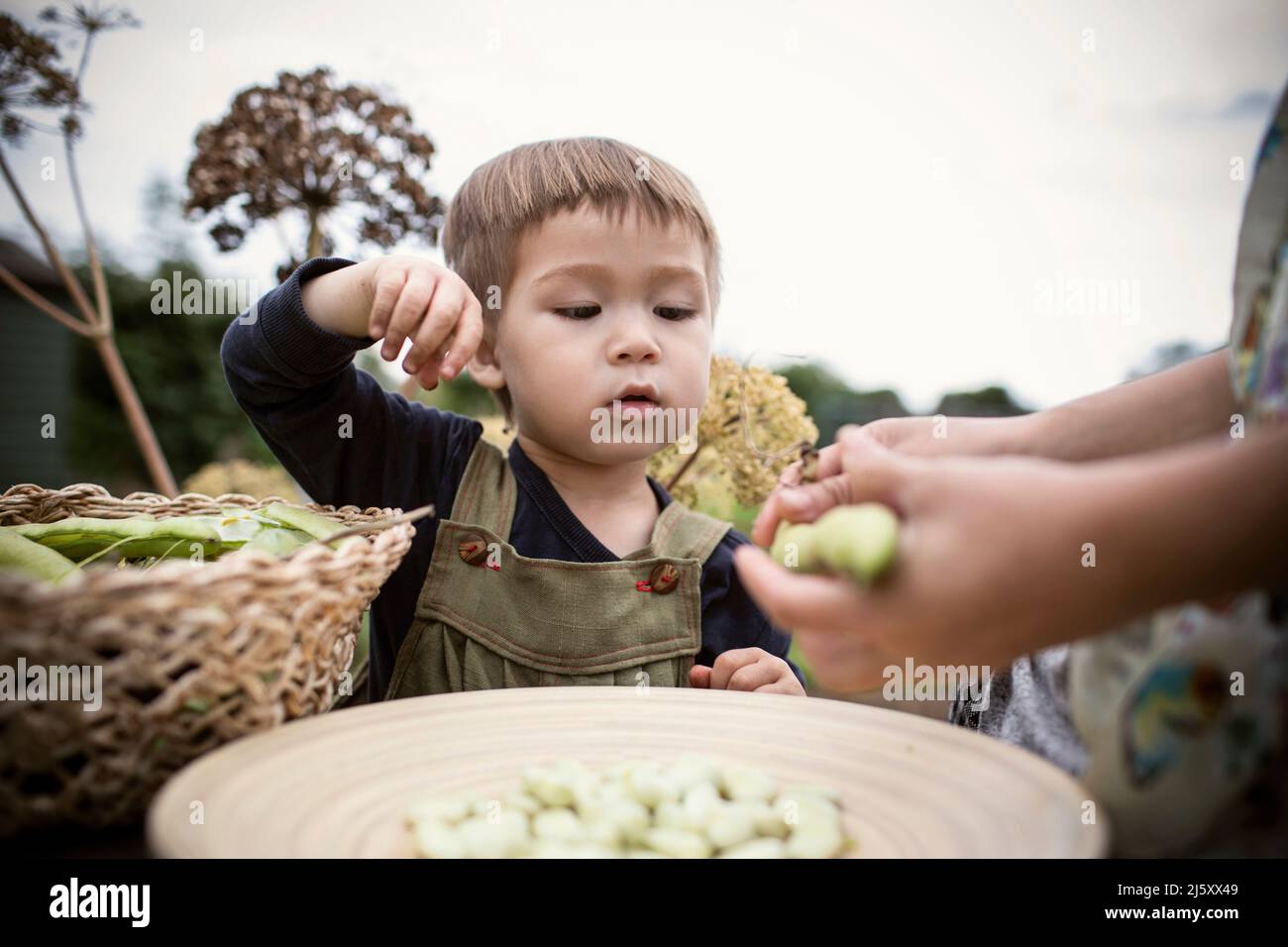 Curieux garçon shelling des haricots avec la mère Banque D'Images