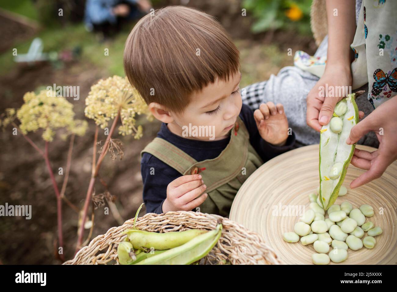 Curieux tout-petit, un enfant hurle des grains de beurre avec sa mère Banque D'Images