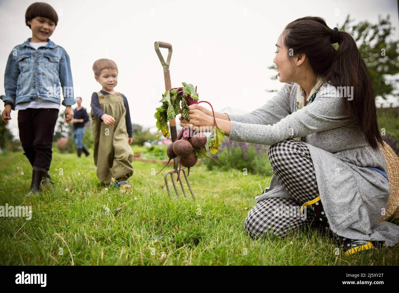 Mère et fils avec fourche et betteraves dans le jardin Banque D'Images