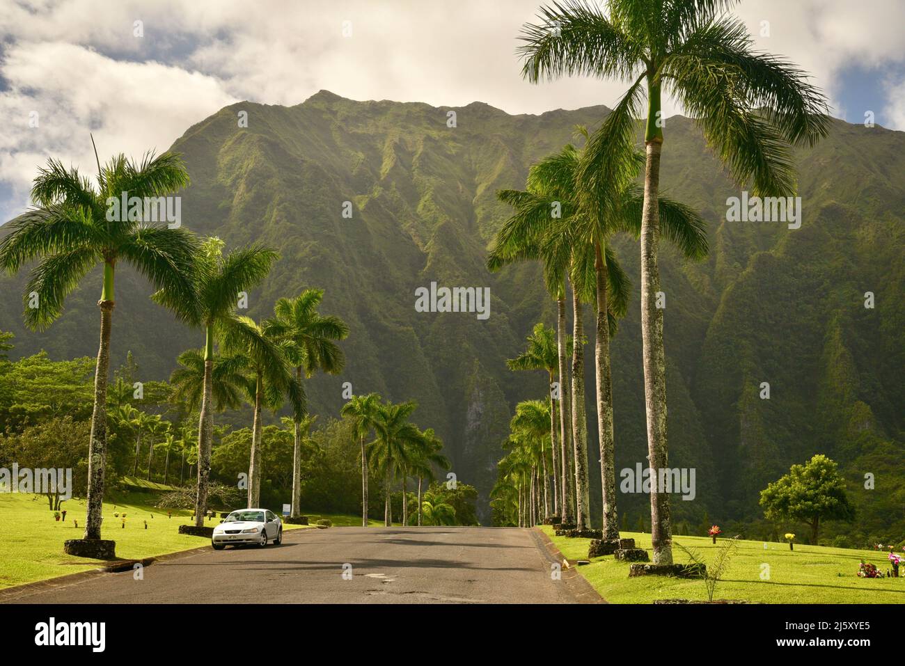 Chemin d'entrée bordé de palmiers vers le parc mémorial et cimetière de la Vallée des temples, montagnes Ko'olau en arrière-plan, sur l'île d'Oahu, Hawaï, États-Unis Banque D'Images