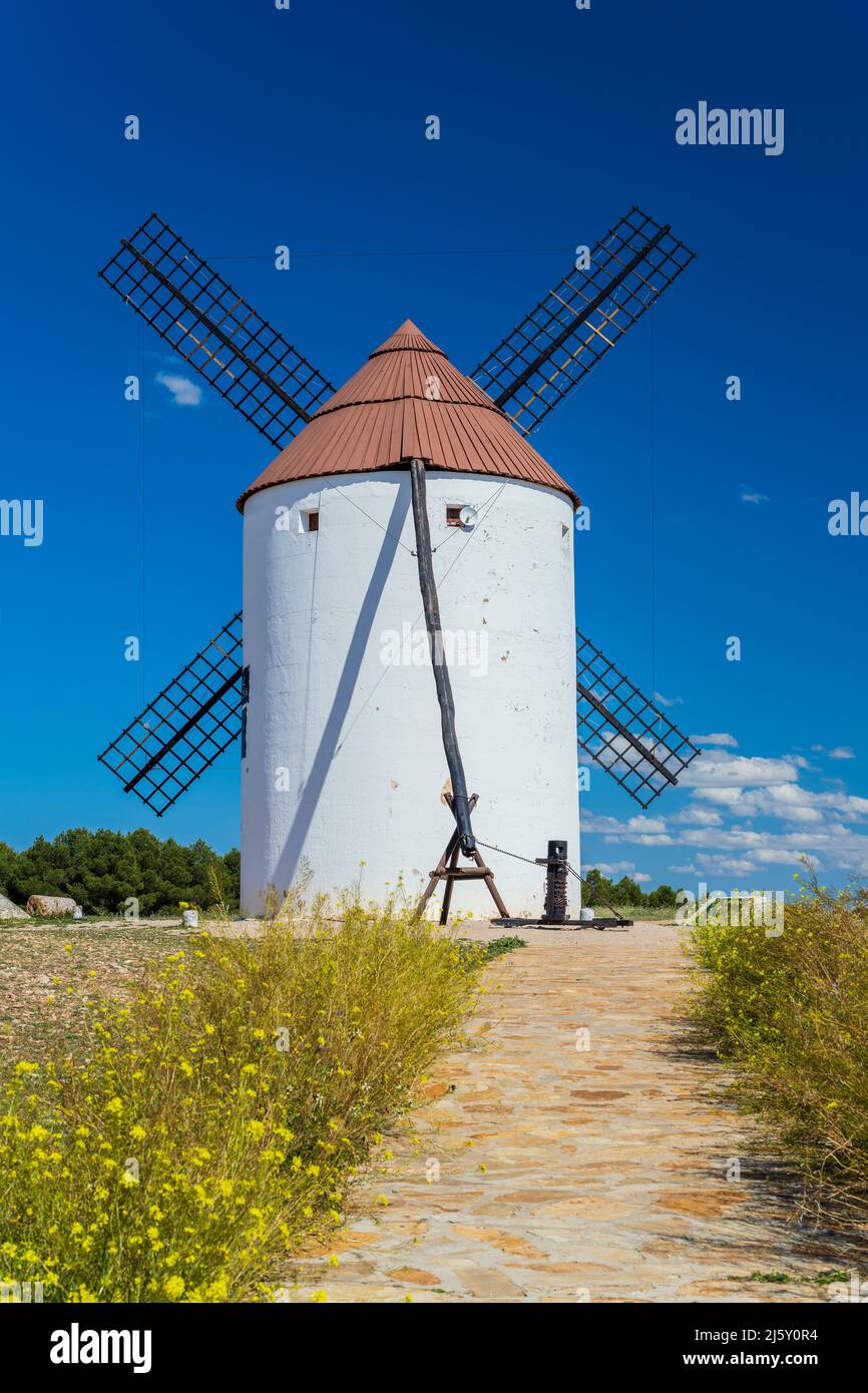 Moulin à vent typique, Mota del Cuervo, Castilla-la Mancha, Espagne Banque D'Images