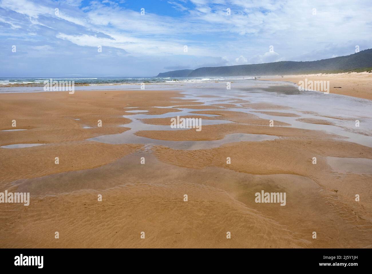 Plage de sable de la vallée de la nature le long de l'océan Indien dans la section Tsitsikamma du parc national de Garden route, de Vasselot, Cap occidental, Afrique du Sud Banque D'Images