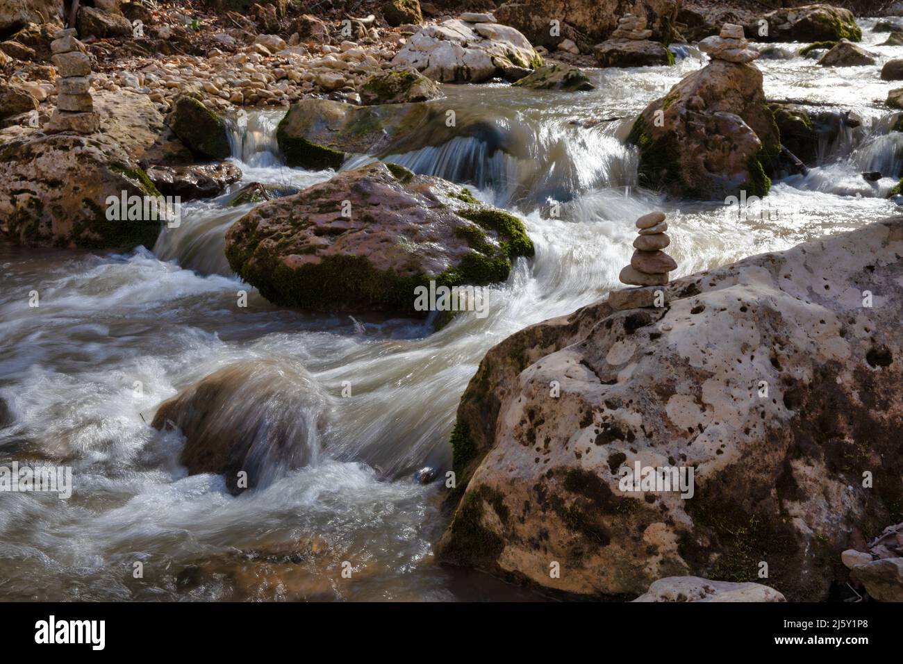 Cascade dans une forêt Banque D'Images