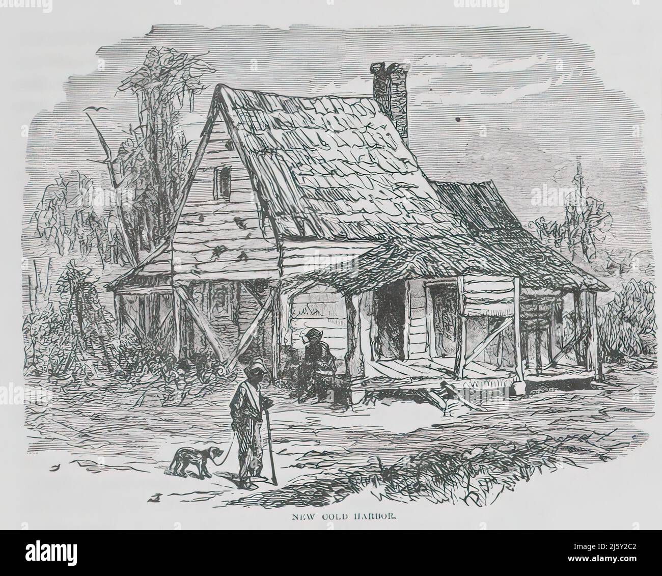 New Cold Harbor, site de la bataille de Cold Harbor dans la guerre de Sécession. illustration du siècle 19th Banque D'Images