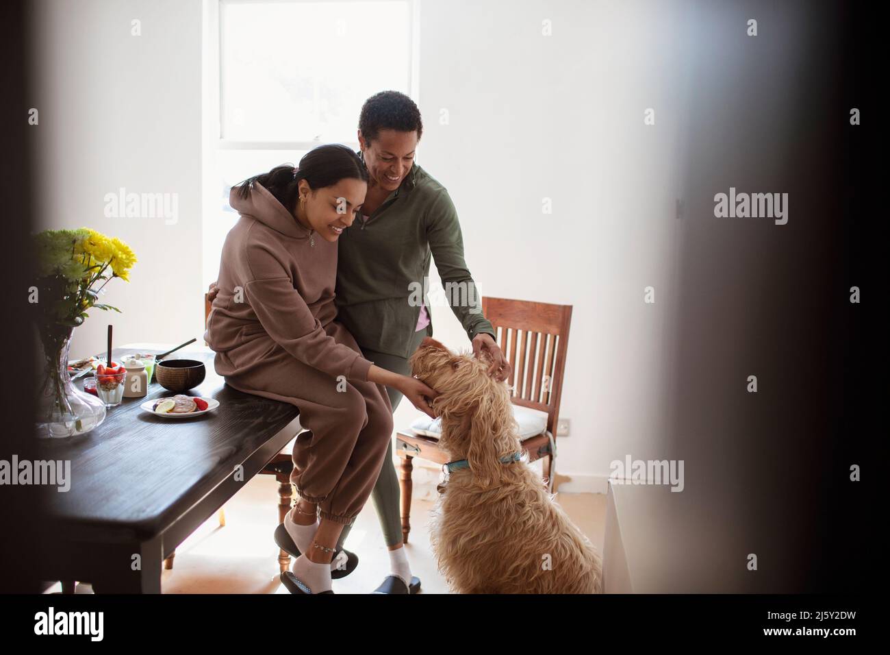 Mère et jeune fille adulte, chien de compagnie à la maison Banque D'Images
