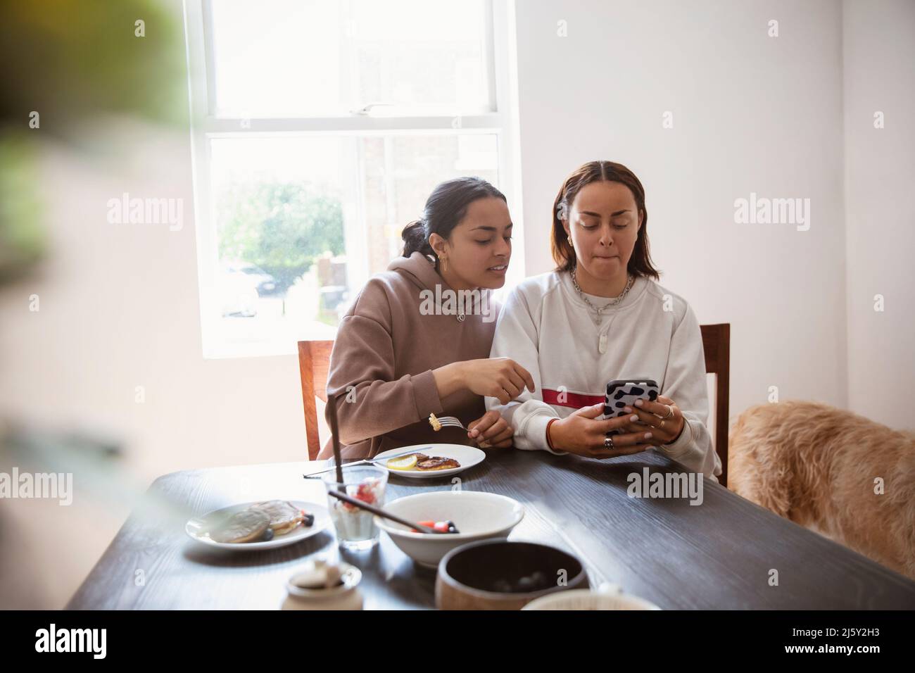 Jeunes sœurs adultes utilisant un smartphone à la table à manger Banque D'Images