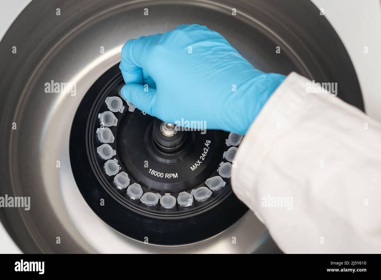 Le scientifique place les microtubes à centrifuger dans la centrifugeuse pour la séparation de phase. Analyse métabolomique et lipidomique dans le laboratoire de chimie analytique. Banque D'Images