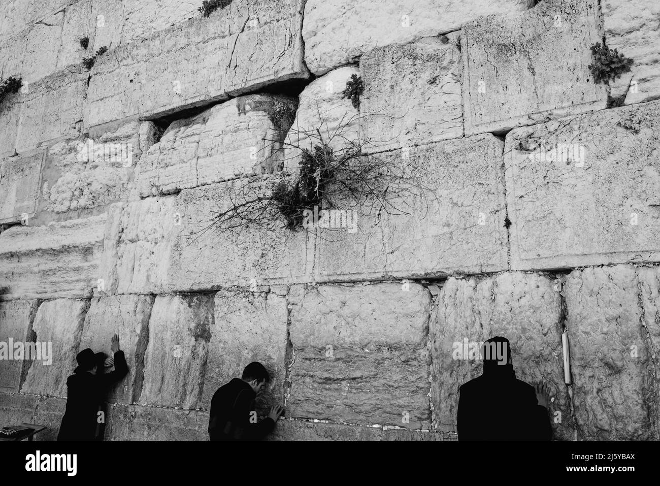 Trois dans la prière au mur de l'Ouest--1 Banque D'Images