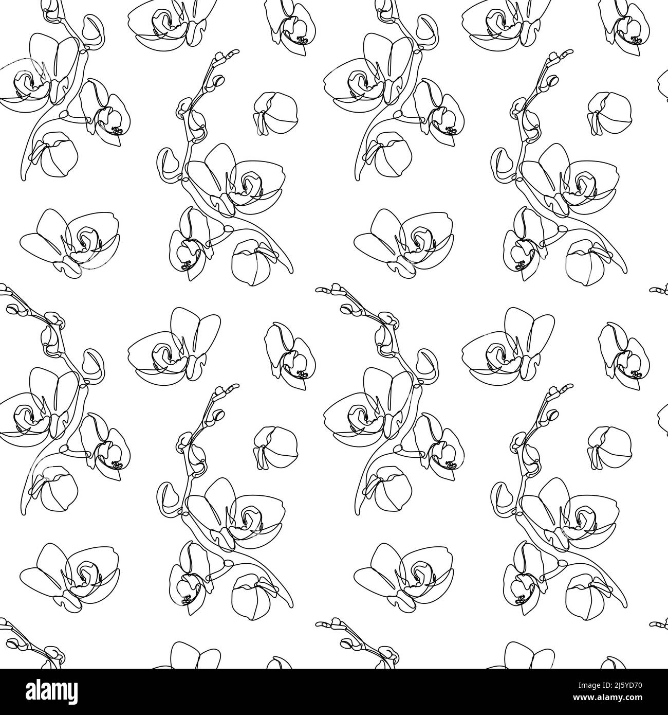 Motif sans couture avec une seule ligne de dessins de fleurs d'orchidées Illustration de Vecteur