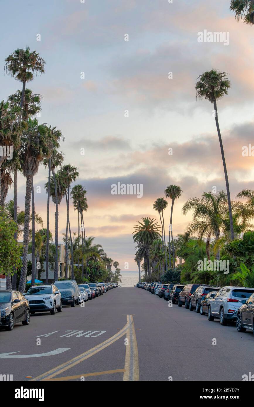 Véhicules garés sur la route asphaltée près de la baie à la Jolla, Californie Banque D'Images