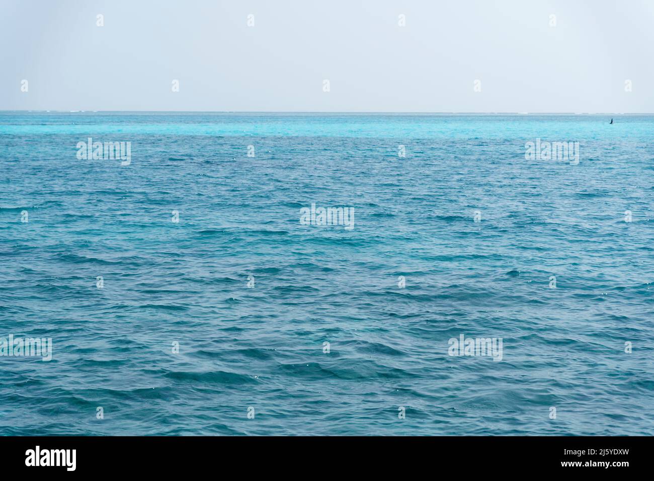 Île de Bangaram, Lakshadweep, Inde. Beauté naturelle de l'île avec sable blanc et eau de mer claire. Banque D'Images