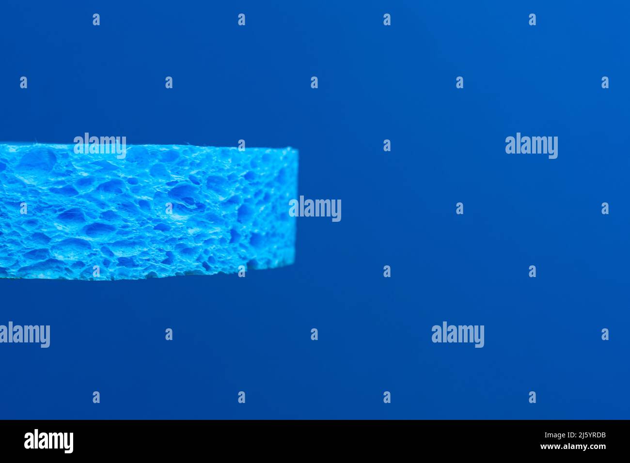 une éponge bleue devant un fond bleu Banque D'Images