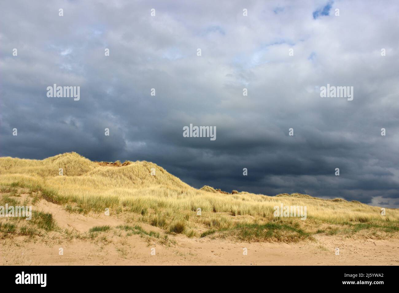 Cimes de Stormy au-dessus des dunes de sable de Formby, Sefton Coast, Merseyside Banque D'Images