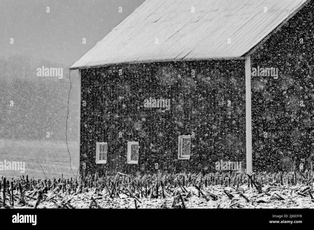 Grange lors d'une forte chute de neige dans le centre du Michigan, aux États-Unis [aucune autorisation de propriété ; licence éditoriale uniquement] Banque D'Images