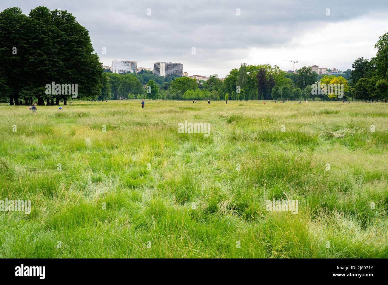 Lyon, France, 14 mai 2020, vue sur le Parc de la tête d'Or. Banque D'Images Lyon, France, 14 mai 2020, vue sur le Parc de la tête d'Or. Banque D'Images