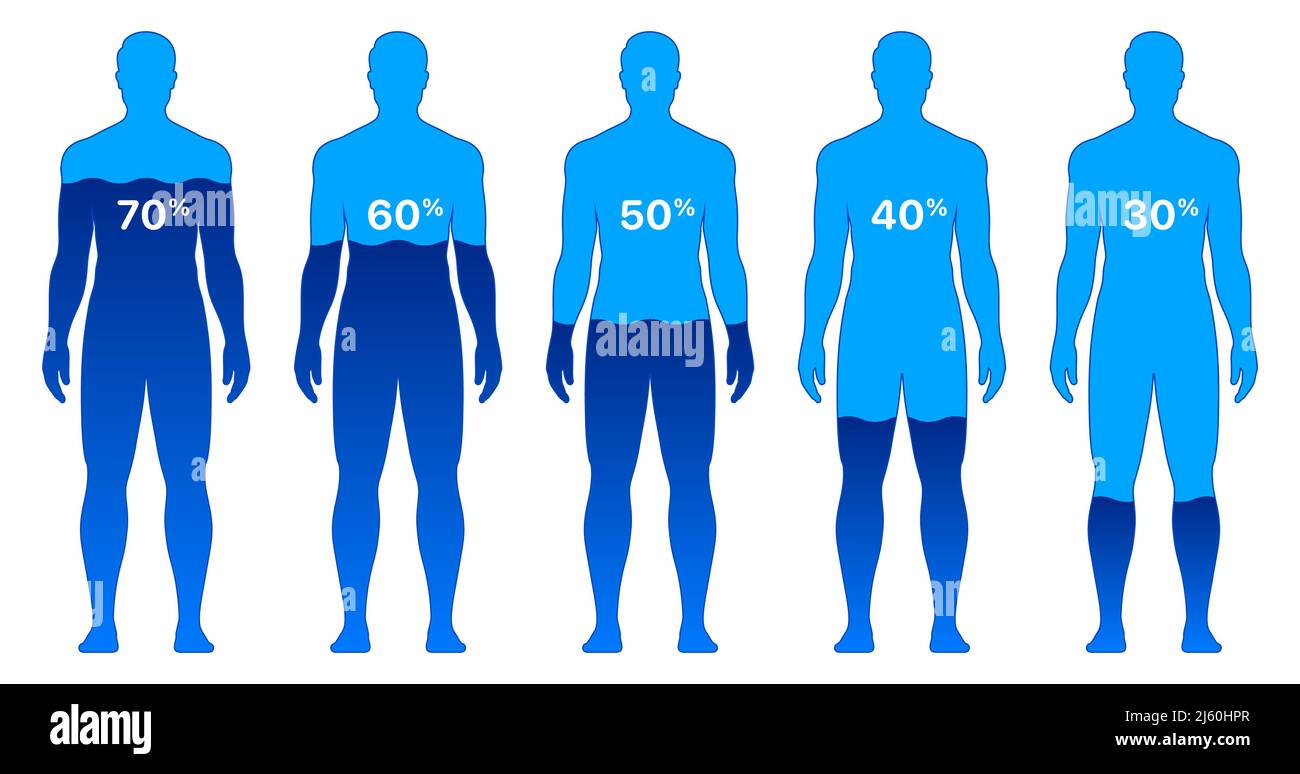 Corps masculin avec différents pourcentages de niveau d