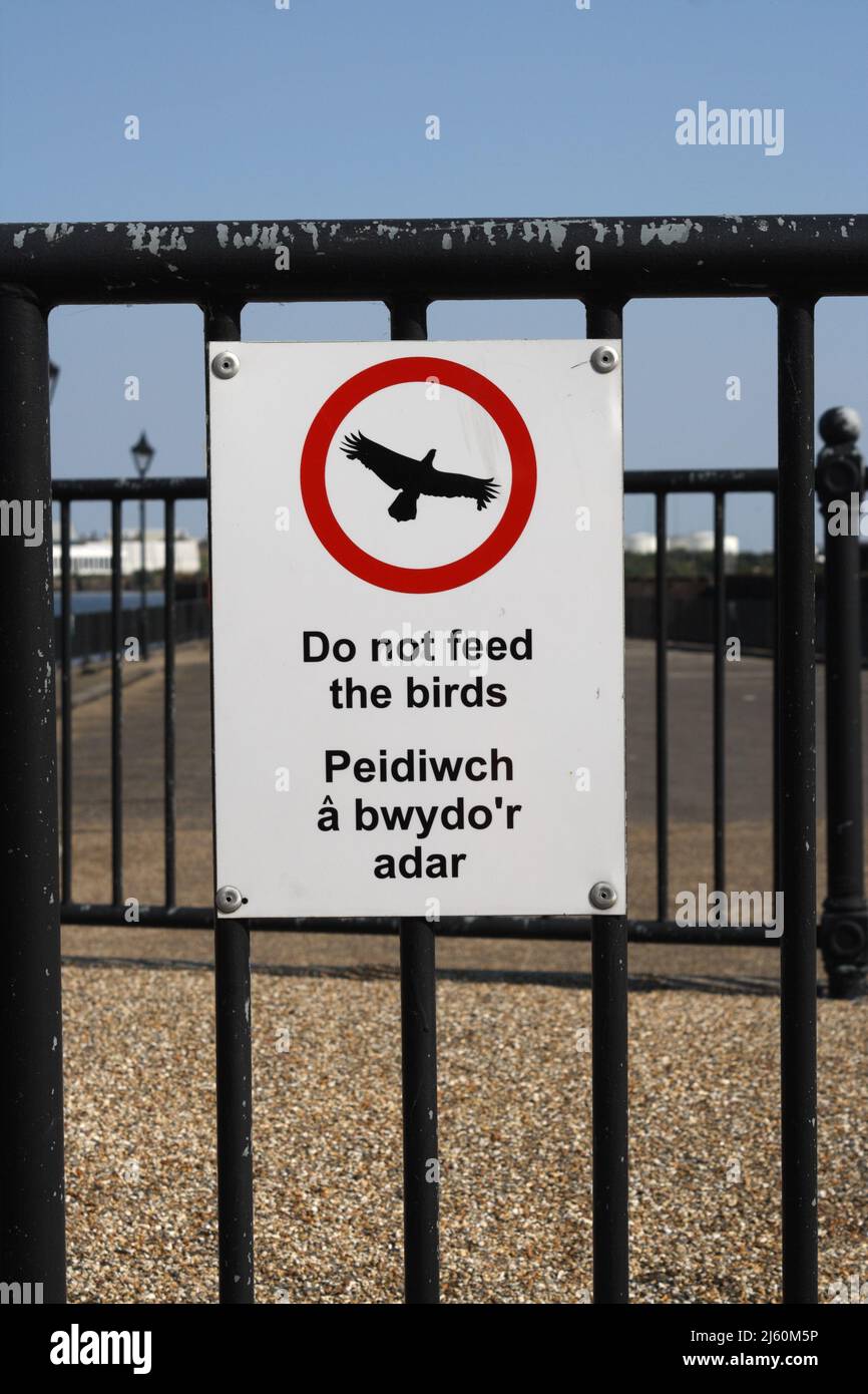Ne pas nourrir le panneau oiseaux en anglais et en gallois. Panneau bilingue, baie de Cardiff Banque D'Images