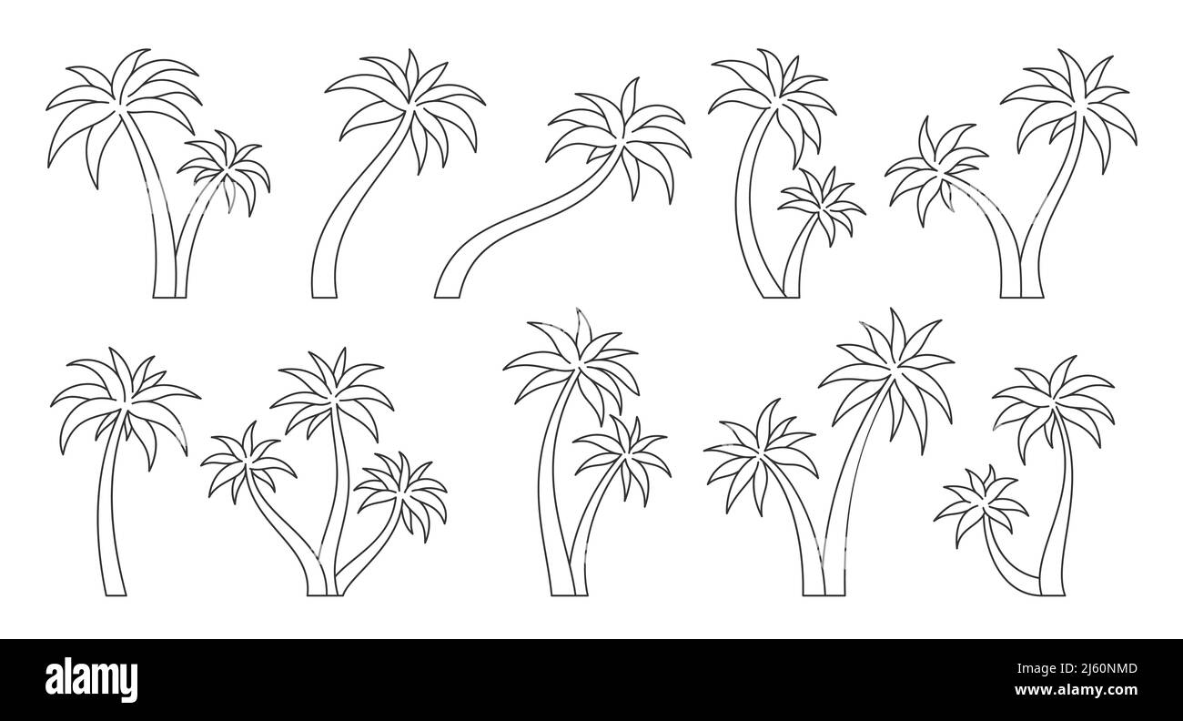 Ensemble de lignes noires d'été de tronc de plante tropique de palmier. Tronc tropical élément carte postale voyage vacances usine d'été. Collection de forêt inoccupée île verdure livre botanique isolé sur blanc Illustration de Vecteur