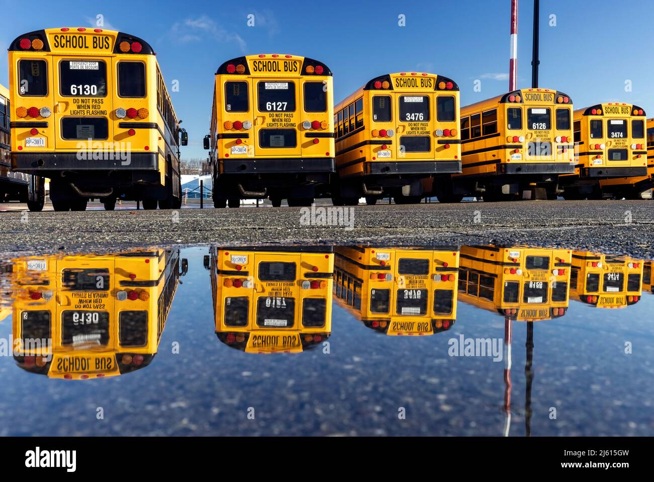 Réflexions colorées des autobus scolaires à Ogden point Pier - Victoria, île de Vancouver, Colombie-Britannique, Canada Banque D'Images