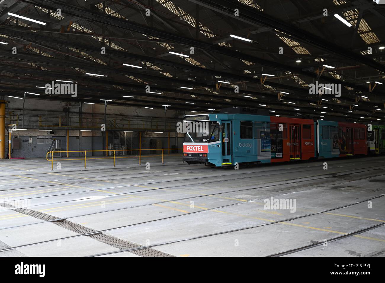 Intérieur presque vide du hangar de Tram Depot de Camberwell, avec un tram de classe B avec publicité Foxtel assis au milieu Banque D'Images