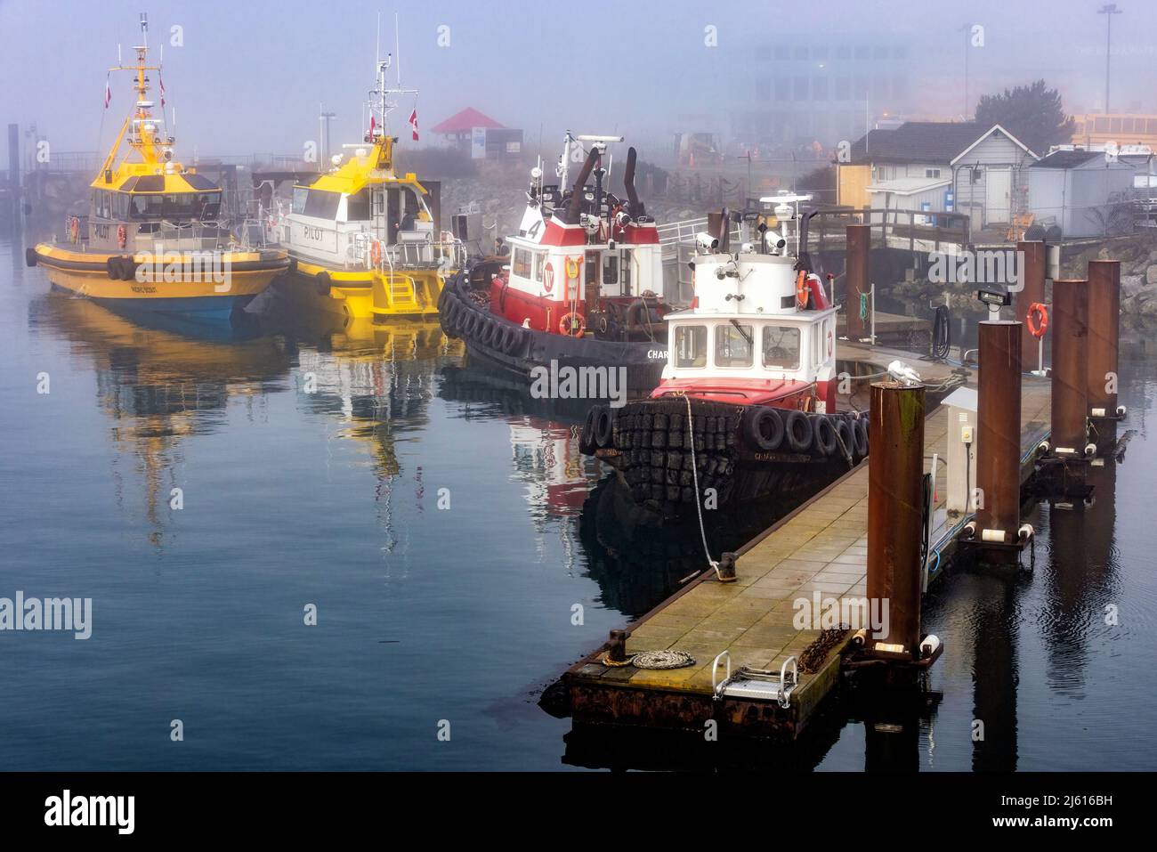 Des bateaux-pilotes, le matin brumeux, se trouvent dans le port près de Ogden point Breakwater - Victoria, île de Vancouver, Colombie-Britannique, Canada Banque D'Images