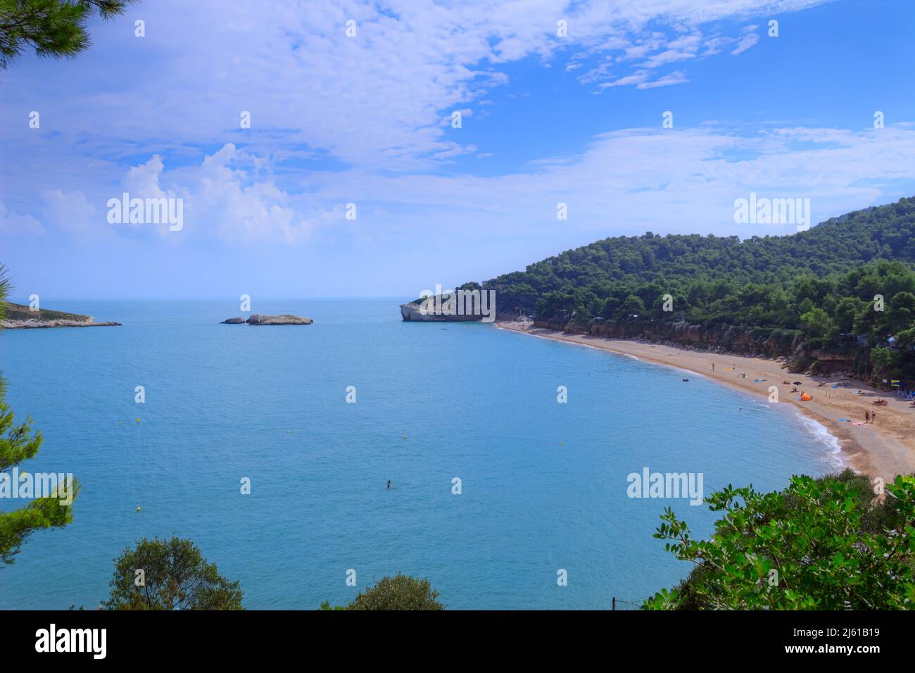 Plage de Baia di Campi près de Vieste dans les Pouilles, Italie. La plage de galets est une baie pittoresque abritée au sud par le rocher Campi, encadrée par des oliviers. Banque D'Images