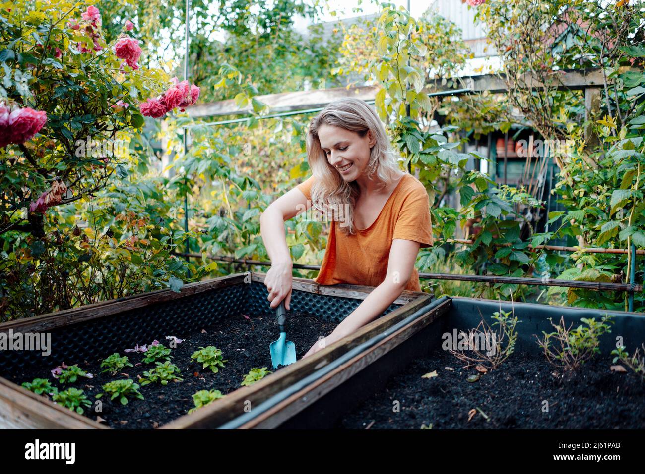 Femme blonde souriante avec jardin de pelle dans l'arrière-cour Banque D'Images