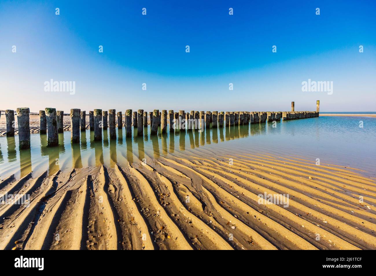 Pays-Bas, Zélande, Groyne sur la plage de sable de la péninsule de Walcheren Banque D'Images